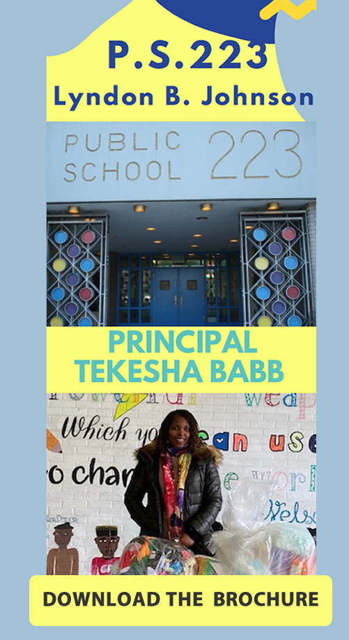 School Brochure