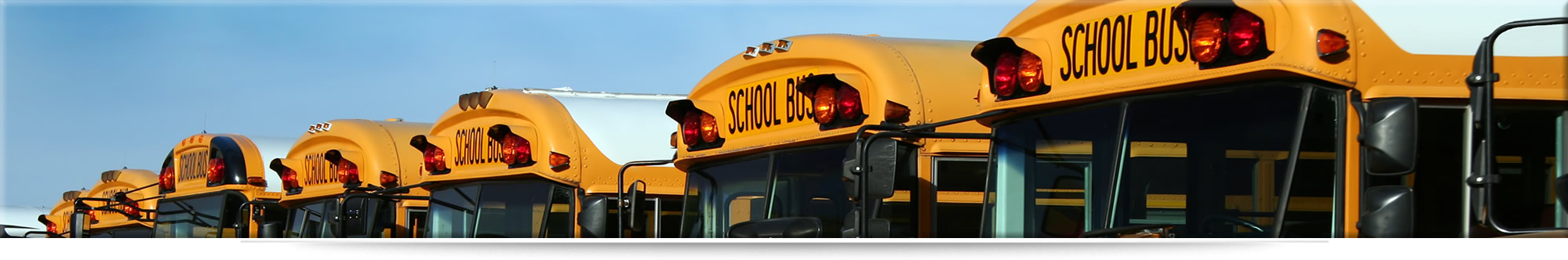 b1